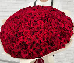 Envio y venta de flores ,rosas, plantas,arreglos florales ,regalos y desayunos a domicilio con delivery gratis en la Ciudad Autonoma de Buenos Aires y con costo de envo en localidades del Gran Buenos Aires asi como delivery de flores y plantas a travs de florerias asociadas en todas las provincias de la Argentina, Buenos Aires, la Pampa, Tucuman, La Rioja, Ro Negro, Entre Rios, Corrientes, Misiones, Neuquen, Chubut, Tierra del Fuego, Santa Cruz, San Luis, Mendoza, Cordoba, Jujuy, Formosa, Santiago del Estero, Salta, Chaco, Catamarca ,San Juan, y ademas realizamos el delivery de flores ,coronas,palmas , plantas y regalos a todas las ciudades de Argentina, Mar del Plata, Crdoba, Buenos Aires, con cargo en Santa Rosa, La Plata, Bella Vista, Neuquen, Pilar, Paran, Posadas, Resistencia, Cipolleti y mas de 300 ciudades y localidades en todo el territorio de nuestro pas, asi como tambien tenemos la posibilidad de enviar flores a casi todo el mundo en cuestion de horas